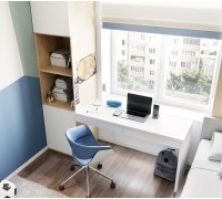 Письменный стол и стеллаж